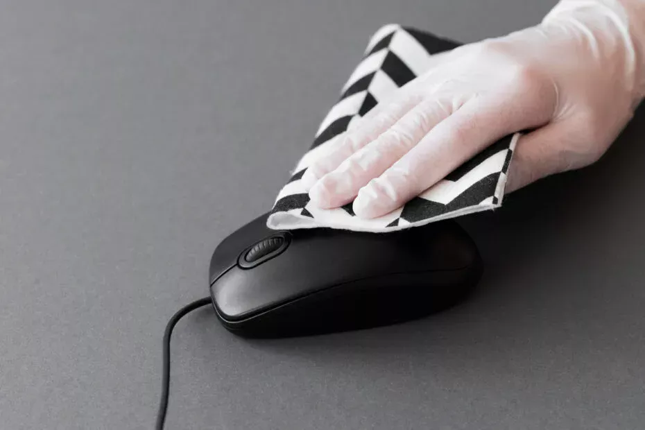 Como Conservar Melhor o Mouse