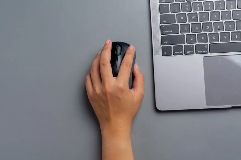 Existe Mouse para Canhoto